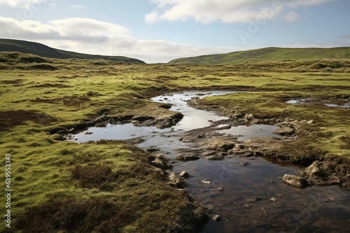 A wetland formed by peat in Hoo Field, Voe on Shetland Mainland, UK. Generative AI
