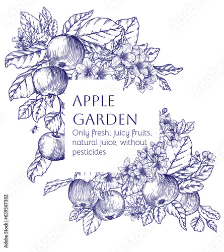 Vector template branch with fruits, leaves and blossoms of an apple tree in engraving style
