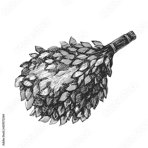 Vector hand-drawn illustrations of bath broom isolated on white. Sketch of Russian bathhouse accessory in engraving style. Finnish sauna.