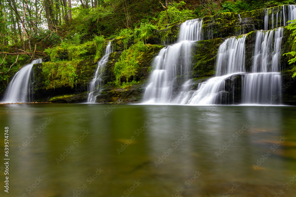 A small, cascading waterfall in a green forest