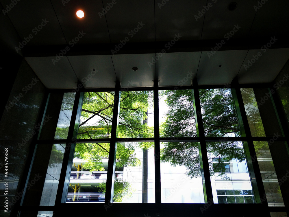 Fototapeta premium Low Angle View of Architecture, Architecture Window, Futuristic Background...,