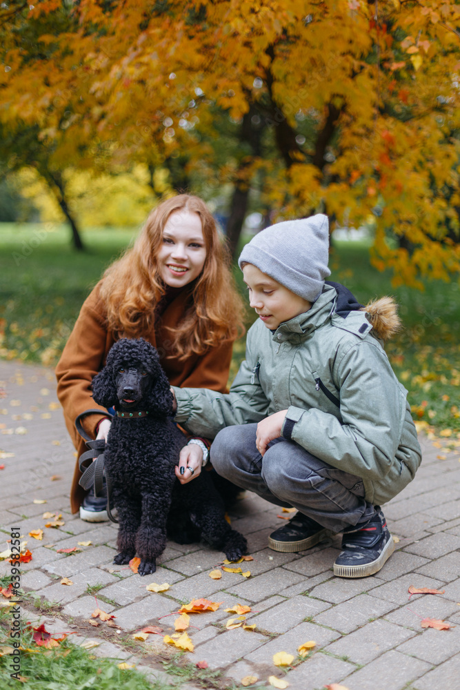 Fototapeta premium Children walk their pet, a dog, a black poodle walk in the autumn park. Walking with a pet.