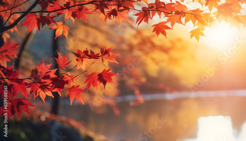 Autumn season with falling leaves, colorful trees and distant sunshine - Generativ AI