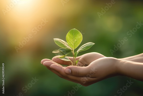 Hand holding young plant on bright background, eco friendly and corporate social responsibility campaign concept photo