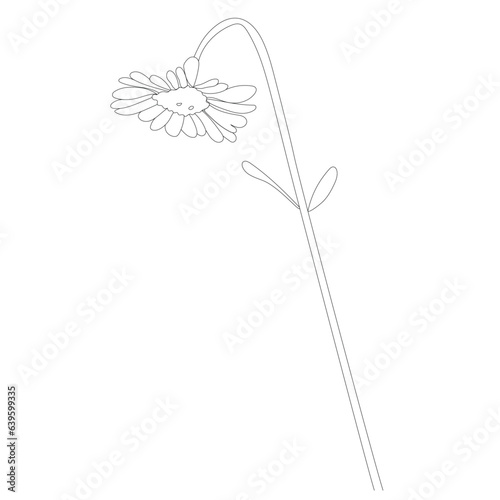 Line art daisy wild flower vector.