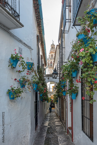 Fototapeta Naklejka Na Ścianę i Meble -  Calle de Las Flores