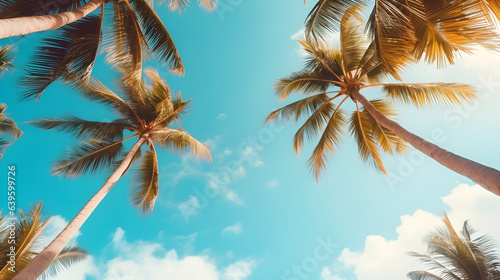 Blue sky and palm trees view from below, vintage style, tropical beach and summer background, travel concept.