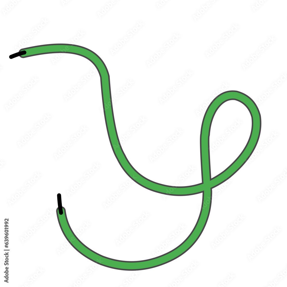 Green Shoelaces Green Shoelaces