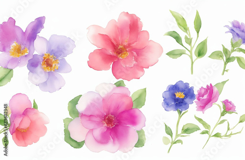 Collection set of watercolor flowers isolated on white background