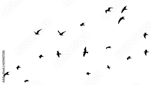 png flock of birds silhouette isolated on clear background  © Birol Dincer 