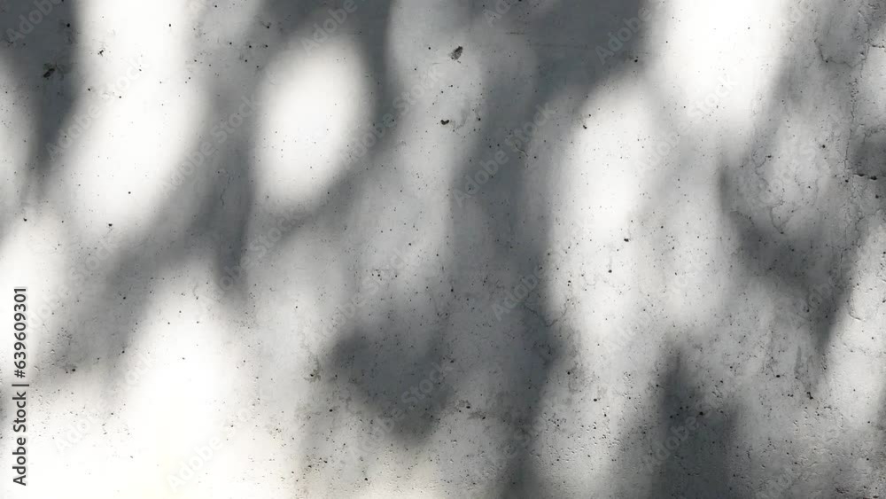 shadow of the leaves of a tree swaying with the wind on the wall.4k video footage