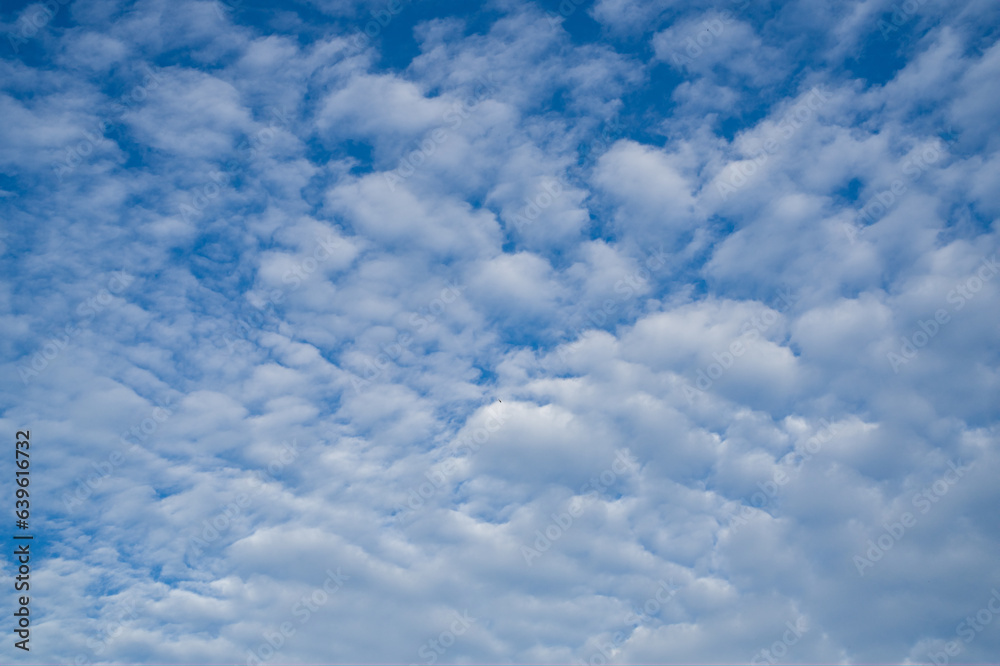 Obraz premium White clouds on a bright blue sky.