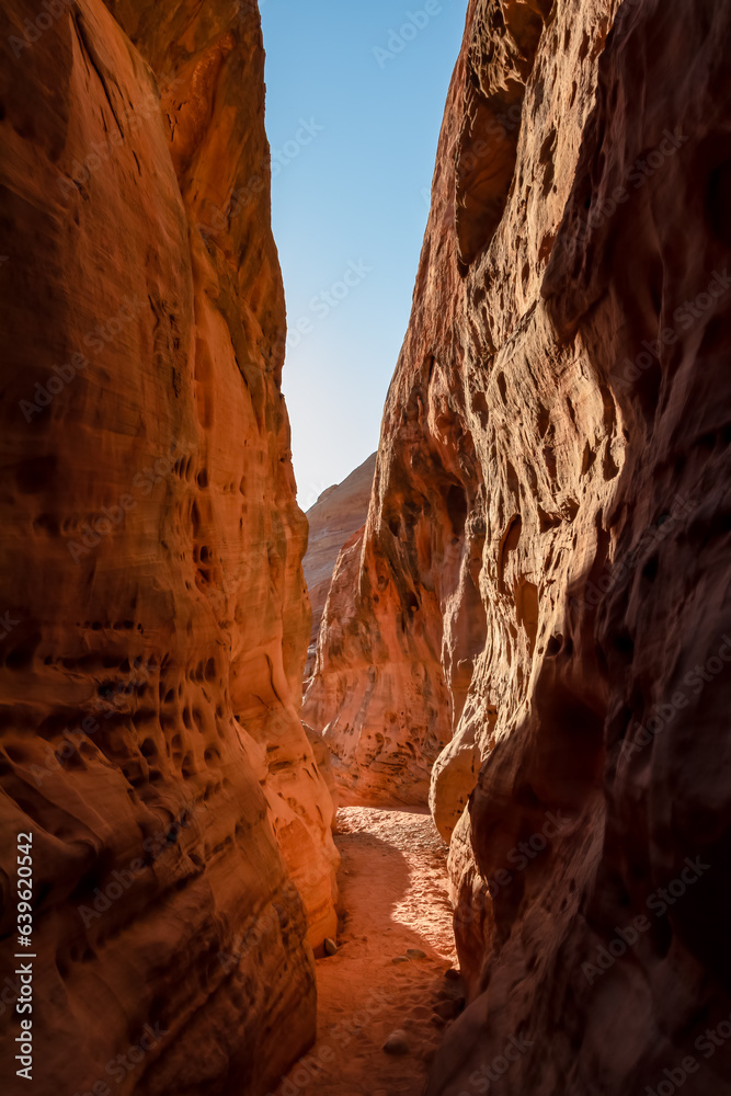 Hike in the narrow Kaolin Wash slot canyon along White Domes Hiking Trail in Valley of Fire State Park in Mojave desert, Nevada, USA. Massive rugged cliffs of striated red and white rock formations