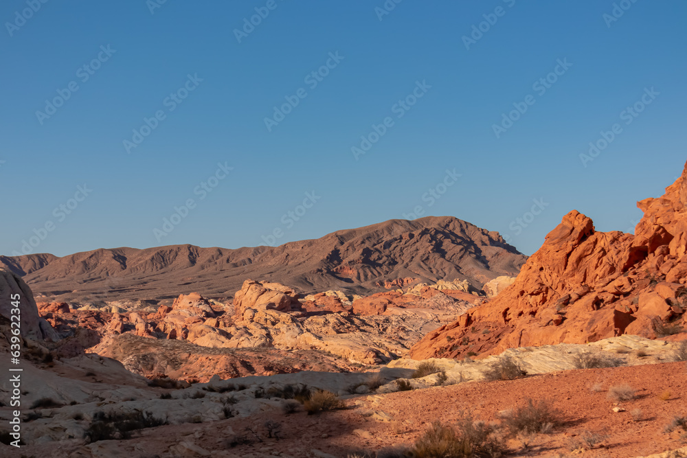 Scenic view of striated red and white Aztek sandstone rock formations in Valley of Fire State Park in Mojave desert, Nevada, USA. Hot temperature in arid landscape on clear summer day. Rainbow vista