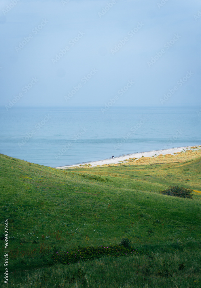 Tranquil Coastal Landscape with Green Grass and Calm Ocean
