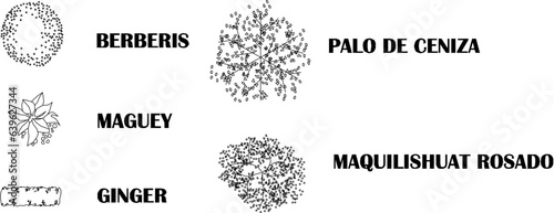 Sketch vector illustration of floor plan design and names of plant and tree species to complete the map