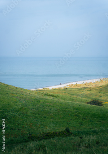 Tranquil Coastal Landscape with Green Grass and Calm Ocean 