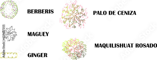 Sketch vector illustration of floor plan design and names of plant and tree species to complete the map