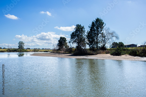 Hunter river in Morpeth sparkling blue in midday sunlight with duck photo