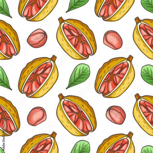 Hand drawn seamless pattern with cola nut.