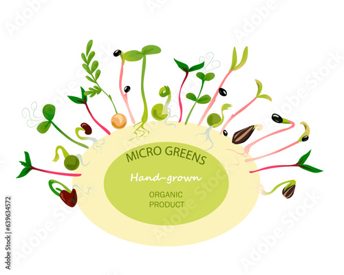 Microgreens frame. Hand drawn botanical label or emblem. Organic product. Green sprouts. Growing seed. Seedling with leaves and roots. Isolated seedlings for planting. Vector healthy food