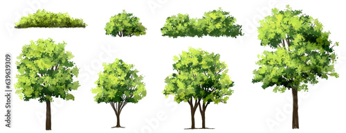 Vector of green grass or shrub isolated on white background tree elevation for landscape concept environment panorama scene eco design watercolor meadow for spring