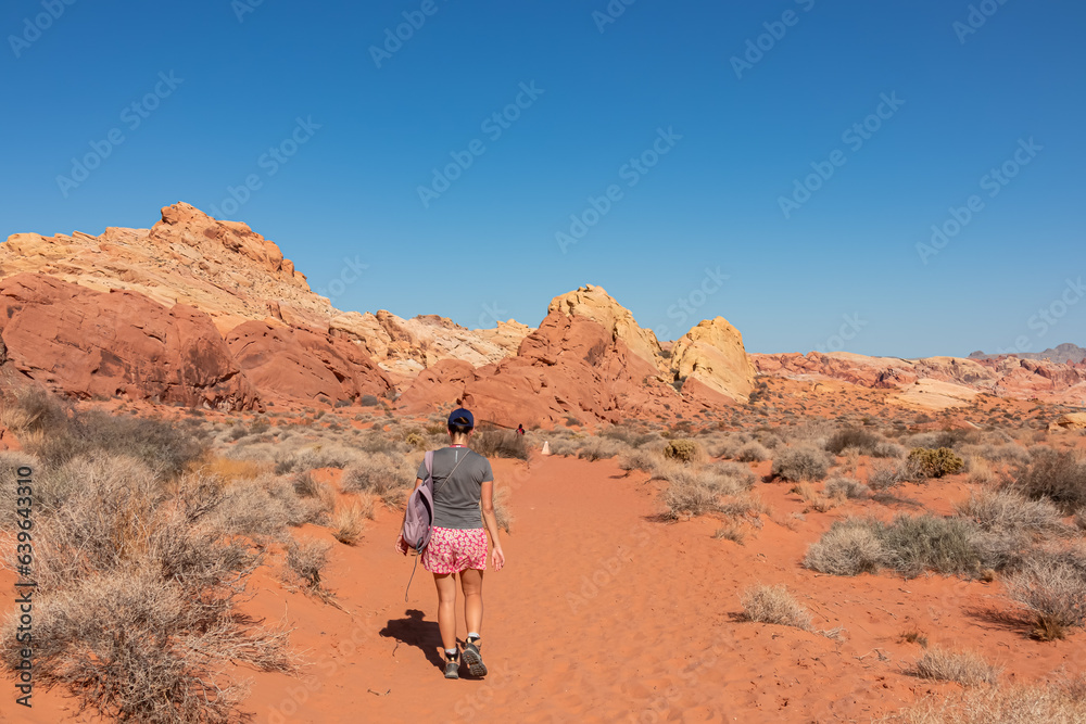 Woman hiking in Petroglyph Canyon on Mouse Tank trail in Valley of Fire State Park in Mojave desert, Nevada, USA. Scenic view of red Aztek sandstone rock formations. Hot temperature in arid vegetation