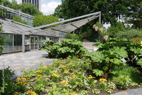 Alter Botanischer Garten Wallanlage Hamburg Planten un Blomen