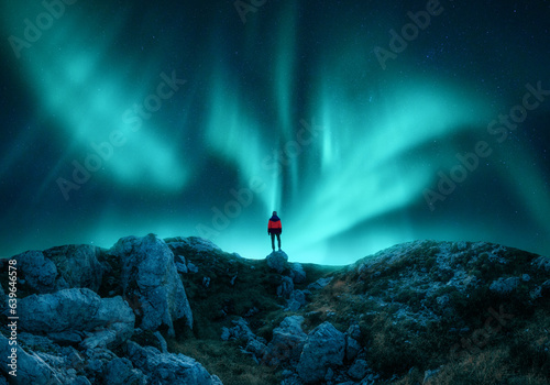 Aurora borealis and young w...