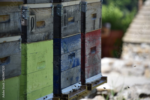 Ruche d'abeille, suisse, montagne