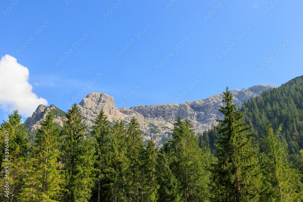 forested mountains in Ammer valley near Plansee lake in Austria on a sunny day with blue sky