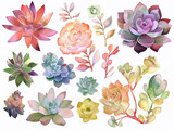 Watercolor painting of a set of different cactus succulents. Pastel colors isolated on white background.