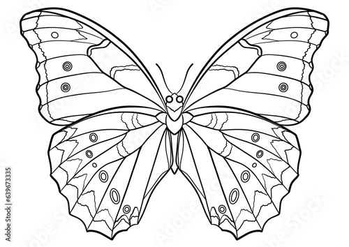 Canvas Print Butterfly outline illustration isolated, coloring book page