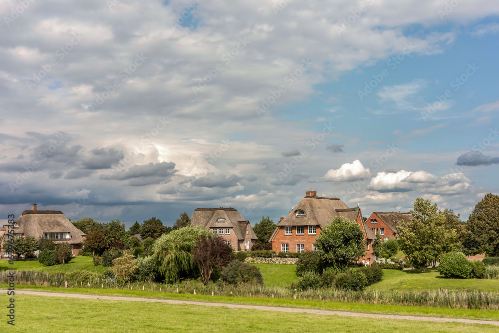 Typical houses of northern germany, Schleswig-Holstein in summer