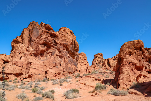 Scenic view of red rock sandstone formation in the Valley of Fire State Park  Nevada  USA. Aztec Sandstone  which formed from shifting sand dunes. Road trip in summer on a hot sunny day with blue sky