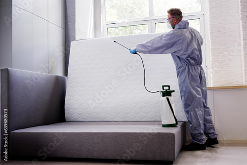 Pest Control Service. Bug Bed Treatment