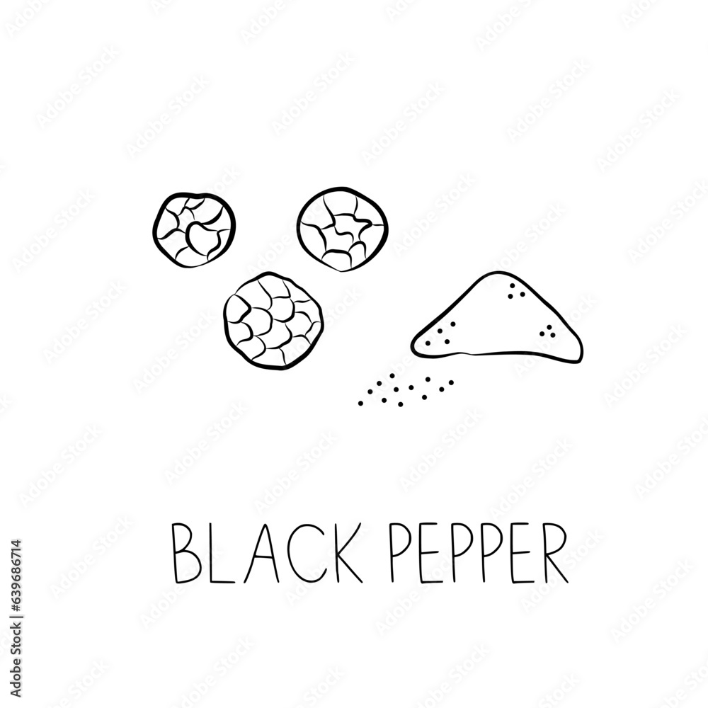 Sketch Black Pepper Simple Vector Illustration in Doodle Style Sketch Black Pepper Simple Vector Illustration in Doodle Style