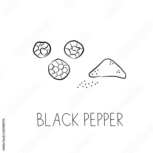 Sketch Black Pepper Simple Vector Illustration in Doodle Style