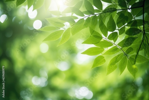Abstract green foliage and tree in jungle blur with sunlight