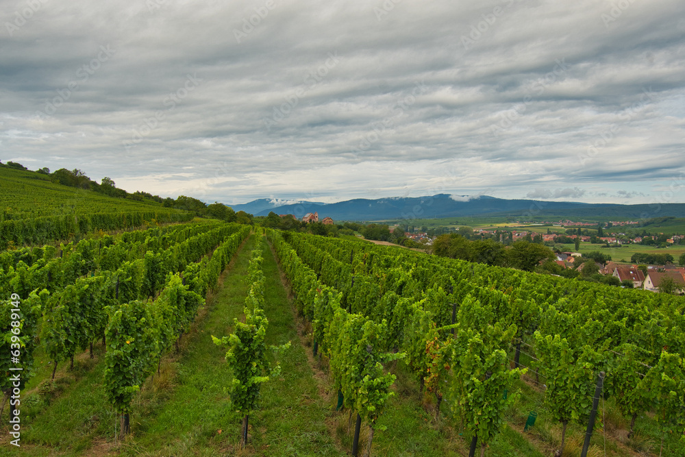 Landschaft bei Soult-les-Bains im Elsass Landschaft bei Soult-les-Bains im Elsass