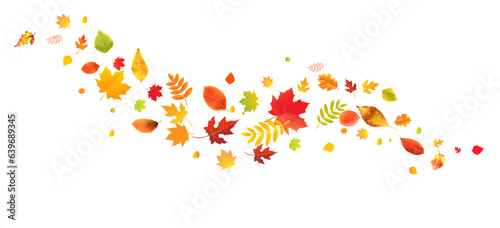 autumn leaves border