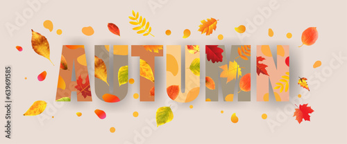 autumn text