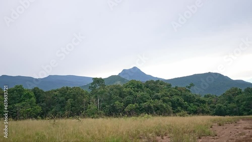 Wallpaper Mural Landscape view of Yutaje Mountain. Amazon state, Venezuela Torontodigital.ca