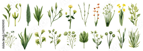 Set watercolor elements of pink roses; collection garden flowers; leaves; branches. Botanic Wedding floral design. Collection of greenery leaf plant forest herbs tropical leaves.	