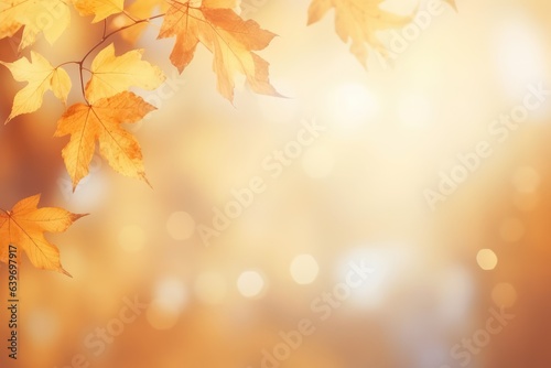 Beautiful blurred gentle universal natural light autumn