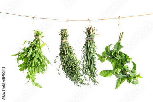 Bunches of fresh herbs hanging on rope against white background