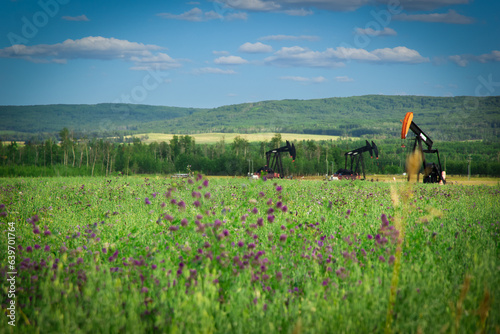 Grass field with alfalfa, pumpjack and green hills in the background.