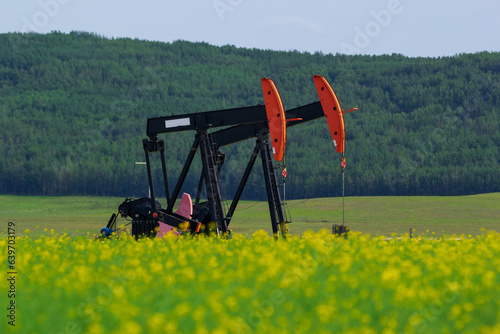 Oil well in the blooming canola field and forest in the background.
