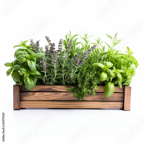 Box with live spices. fresh greens. AI generation..