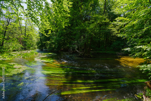 Frühlingsstimmung an Fluss Würm beim Starnberger See mit starken Flussgras Bewuchs und Strömung im satten Morgenlicht